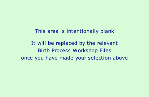 This area is intentionally blank  It will be replaced by the relevant  Birth Process Workshop Files  once you have made your selection above