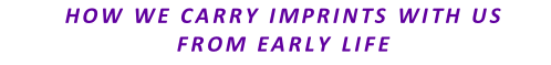 HOW WE CARRY IMPRINTS WITH US  FROM EARLY LIFE